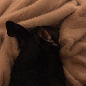 Meet your Posher, Synthia